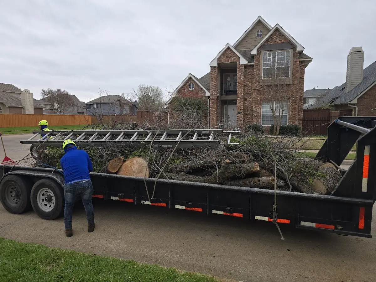 Expert Crown Reduction with proper safety equipment in Prophetstown